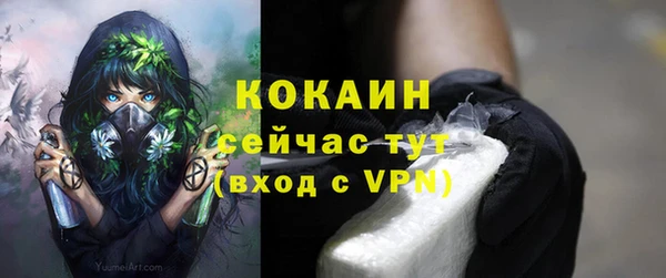 крисы Переславль-Залесский