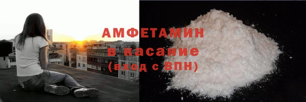 гидра Ленинск-Кузнецкий