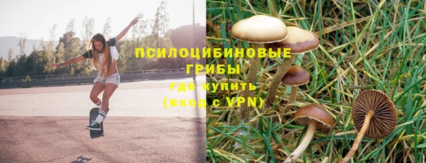 гидра Ленинск-Кузнецкий